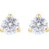 14K Yellow 1/4 Lab-Grown Diamond Cocktail-Style Stud Earrings