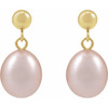 14K Yellow Cultured Pink Freshwater Pearl Earrings