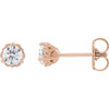 14K Rose 3/8 CTW Natural Diamond Vintage-Inspired Earrings