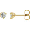 14K Yellow 1/3 CTW Lab-Grown Diamond Fleur-de-Lis Earrings