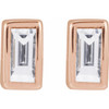 14 Karat Rose Gold .04 CT Lab-Grown Diamond Press Fit Back Stud Earring