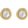 14K Yellow .02 CTW Rose-Cut Natural Diamond Stud Earrings