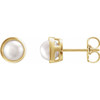 14K Yellow 6 mm Cultured White Akoya Pearl Stud Earrings