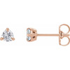 14K Rose 3.5 mm Lab-Grown Moissanite Stud Earrings