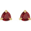 14K Yellow 3.5 mm Natural Ruby Stud Earrings