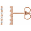14K Rose 1/10 CTW Natural Diamond Bar Earrings