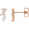 14K Rose 1/3 CTW Natural Diamond Nature-Inspired Earrings