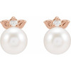 14K Rose Cultured Akoya Pearl & .03 CTW Natural Diamond  Floral Earrings