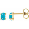 14K Yellow 7x5 mm Oval Natural Turquoise Earrings