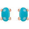 14K Rose 7x5 mm Oval Natural Turquoise Earrings