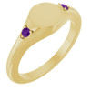 14K Yellow Engravable Natural Amethyst Signet Ring