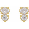 14K Yellow 1/2 CTW Lab-Grown Diamond Two-Stone Earrings