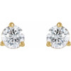 14K Yellow 1/5 CT Natural Diamond Press Fit Back Stud Earring