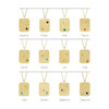 Sterling Silver Natural Citrine & .01 CTW Natural Diamond Leo Constellation 16-18" Necklace