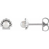 Sterling Silver Cultured White Seed Pearl Shell Earrings