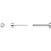 14K White .01 CT Rose-Cut Natural Diamond Press Fit Back Stud Earring