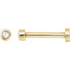 14K Yellow .01 CT Rose-Cut Natural Diamond Press Fit Back Stud Earring