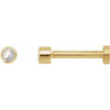 14K Yellow .03 CT Rose-Cut Natural Diamond Press Fit Back Stud Earring