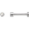 14K White .03 CT Rose-Cut Natural Diamond Press Fit Back Stud Earring