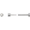 14K White .03 CT Rose-Cut Natural Diamond Press Fit Back Stud Earring