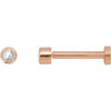 14K Rose .03 CT Rose-Cut Natural Diamond Press Fit Back Stud Earring