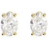 14K Yellow 1/5 CTW Natural Diamond Earrings