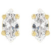 14K Yellow 1/3 CTW Natural Diamond Earrings