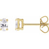 14K Yellow 1/2 CTW Lab-Grown Diamond Stud Earrings