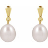 14K Yellow Cultured White Freshwater Pearl Earrings