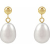 14K Yellow Cultured White Freshwater Pearl Earrings