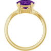 14K Yellow Natural Amethyst Ring