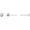 14K White .04 CT Rose-Cut Natural Diamond Press Fit Back Stud Earring