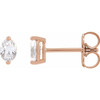 14K Rose 1/2 CTW Natural Diamond Stud Earrings