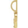 14K Yellow .015 CT Natural Diamond Earth Element Charm/Pendant
