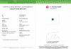 2.13 Green Emerald Cushion 7.65 x 7.6 x 5.67 mm