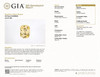 6.18 Yellow Sapphire Cushion 12.25 x 9.06 x 6.03 mm