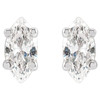 Platinum 1/3 CTW Natural Diamond Earrings