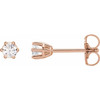 14K Rose 1/5 CTW Natural Diamond Stud Earrings