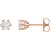 14K Rose 3/4 CTW Natural Diamond Stud Earrings.