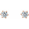 14K Rose 1/3 CTW Natural Diamond Stud Earrings.