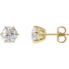 14K Yellow 2 CTW Natural Diamond Stud Earrings.