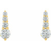 14K Yellow 1 CTW Natural Diamond Graduated Earrings