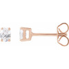 14K Rose 1/3 CTW Lab-Grown Diamond Stud Earrings
