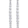 Platinum 3/8 CTW Natural Diamond Earrings