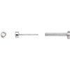 14K White .01 CT Rose-Cut Natural Diamond Press Fit Back Stud Earring