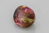 Cushion Bicolor Tourmaline Gemstone – 7.93 Carat – Multi Colour