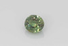 Oval Alexandrite Gemstone 1.08 Carat Vivid Intense