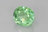 Oval Green Tourmaline Gemstone – 5.57 Carat, Medium Intense