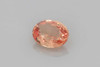 Oval Padparadscha Sapphire Gemstone, 0.63 Carat – Vivid Intense Orange-Peach