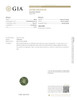 4.98 Carat Round Green Sapphire Gemstone – Vivid Rich, Unheated, GIA Certified